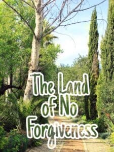 The Land of No Forgiveness (2020)