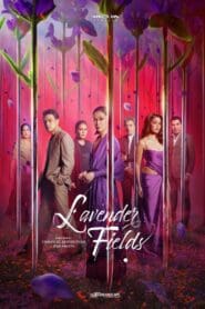 Lavender Fields (2024)