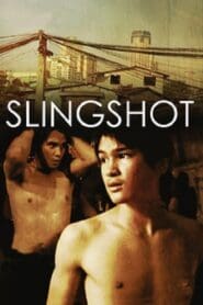 Slingshot (2008)