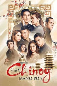 Mano Po 7: Chinoy (2016)